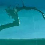 Sea Breeze
