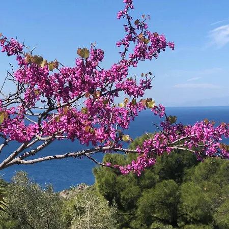Appartamento Sea Breeze *