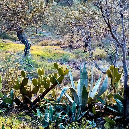 Διαμέρισμα Sea Breeze Λουτράκι
