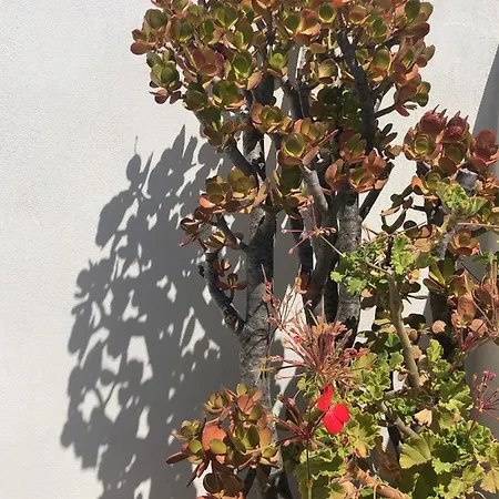 Sea Breeze Διαμέρισμα