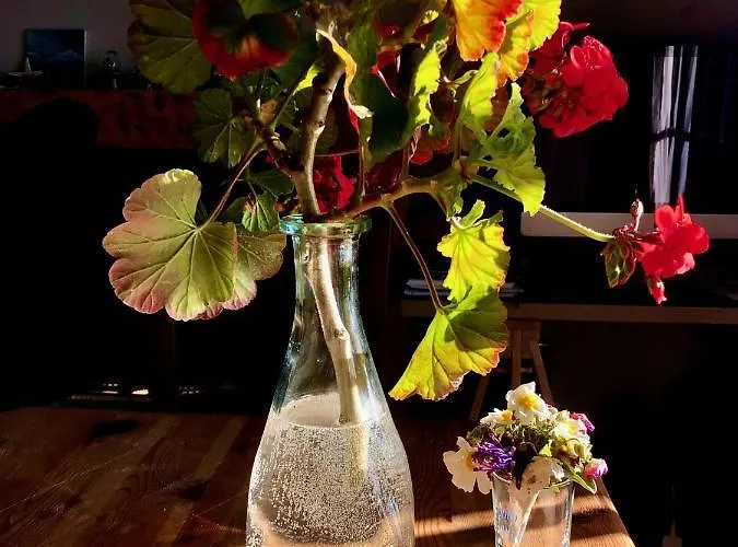 Sea Breeze Apartamento *