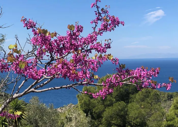 Lejlighed Sea Breeze *