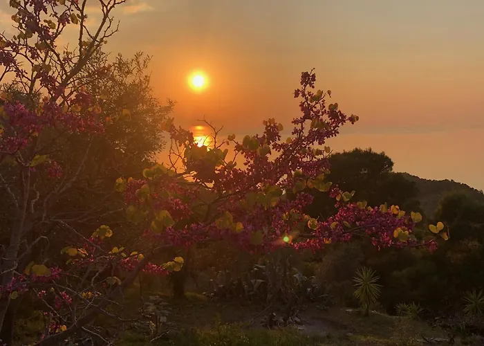 Sea Breeze Appartamento *