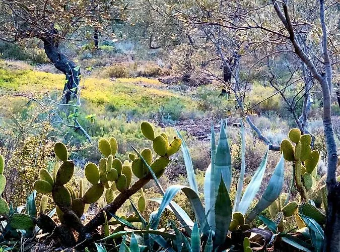 Appartamento Sea Breeze Loutráki