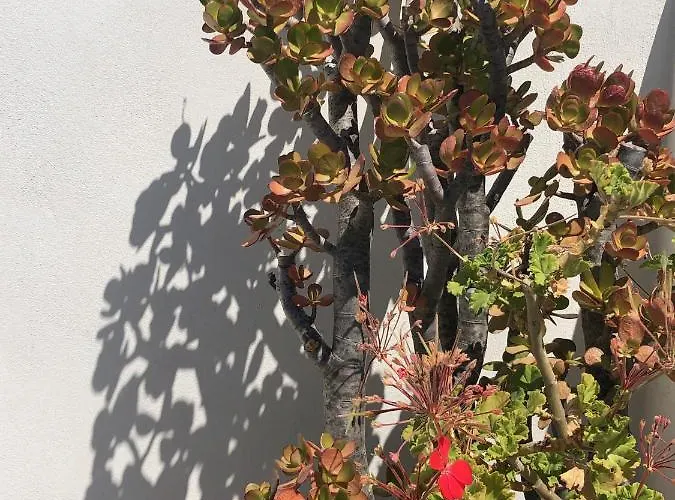 Sea Breeze Appartamento